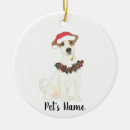 Search for jack russel terrier ornaments Watercolor