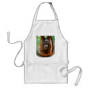Search for primate aprons Orangutan
