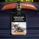 Search for anima accessories Kitten