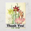 Search for flora plants cards Nature