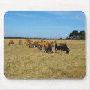 Search for calves mousepads Farming