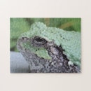 Search for green tree frog puzzles Frogs