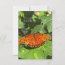 Recherche de papillons correspondances cartes Nature