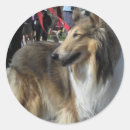 Search for rough stickers Collie