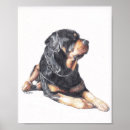 Recherche de rottweiler gifts Race