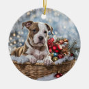 Recherche de chiot pitbull ornements Vacances