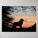 Recherche de neuve posters Silhouette