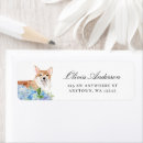 Recherche de corgi étiquettes adresse retour Animal