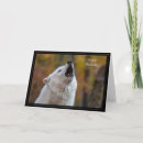 Search for wolf birthday cards Wildlife