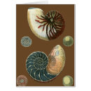 Recherche de cacao cartes postales Mer