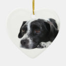 Search for pointer dog ornaments Dogs