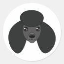 Recherche de caniche noir autocollants Chien