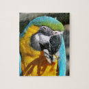 Recherche de perroquets sauvages puzzles Oiseau