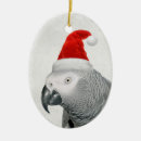 Search for african grey parrot ornaments Cute