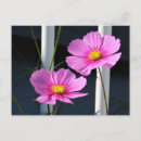 Recherche de porche cartes postales Automne