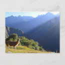 Recherche de les andes Machu