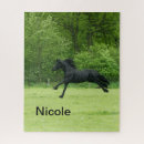 Recherche de cheval amants puzzles Équestre