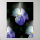 Search for pansy paintings posters Gardening