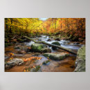 Search for beautiful forest posters Autumn