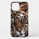Search for aggressive iphone cases Background