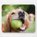 Search for fetch mousepads Pet
