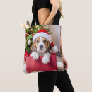Search for beagle bags Dog