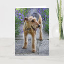 Recherche de airedale vœux cartes Terrier