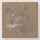 Recherche de hibou de dessous de verres Nature
