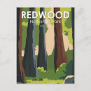Search for smith vertical postcards Redwood national park
