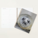 Search for seal planners Animals