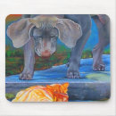 Recherche de chien orange tapis souris Chiens