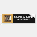 Search for adoptions bumper stickers Shelter