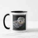 Search for sea otter mugs Pacific ocean