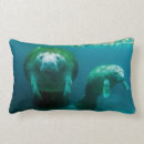 Recherche de danger coussins Conservation