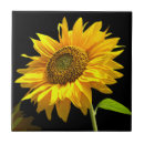 Search for yellow background tiles Nature