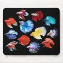 Search for betta mousepads Siamese