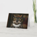 Search for owl fathers day cards Birds