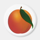 Search for apricot magnets Peach