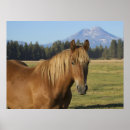 Search for cascade range posters Oregon