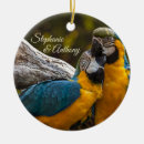 Search for parrot ornaments Bird