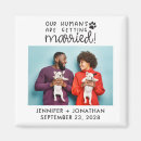 Recherche de chat chien invitations Pour eux