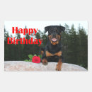 Search for rotty stickers Pet