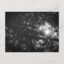 Recherche de black forest cartes postales Nature