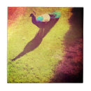 Search for peacock green tiles Bird