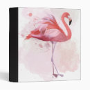 Search for funky binders Flamingo