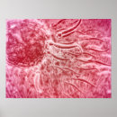 Recherche de sperme posters Ovule