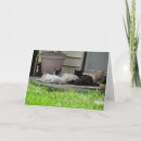Search for friends for life cards Inspirational
