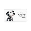 Search for dalmatian dog return address labels Animal