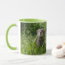 Recherche de belettes tasses Herbe