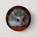 Recherche de hamster mignon badges Rongeur